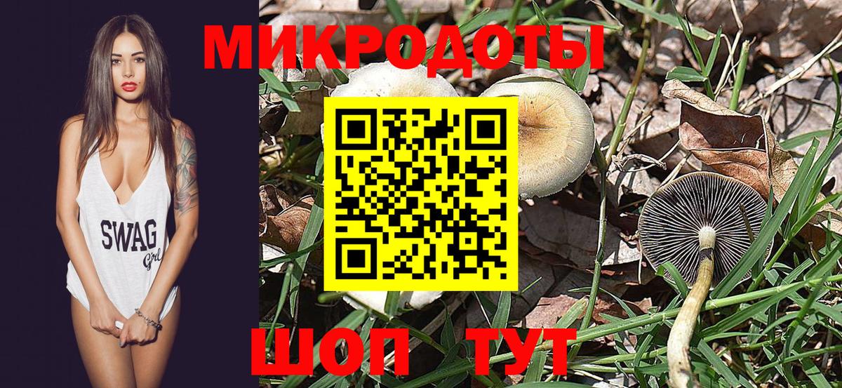 наркота  Вход с VPN  Белая Калитва  Галлюциногенные грибы Psilocybine cubensis 